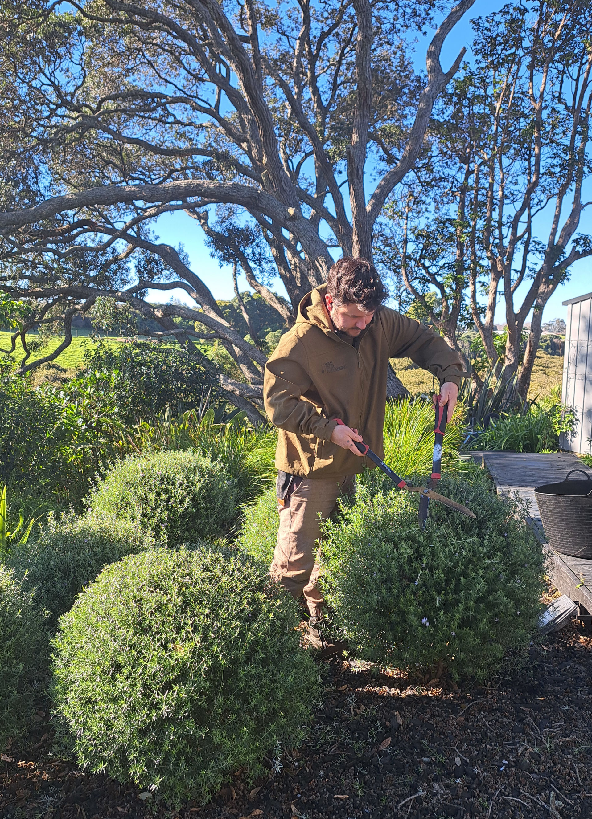 Professional garden maintenance service in Auckland