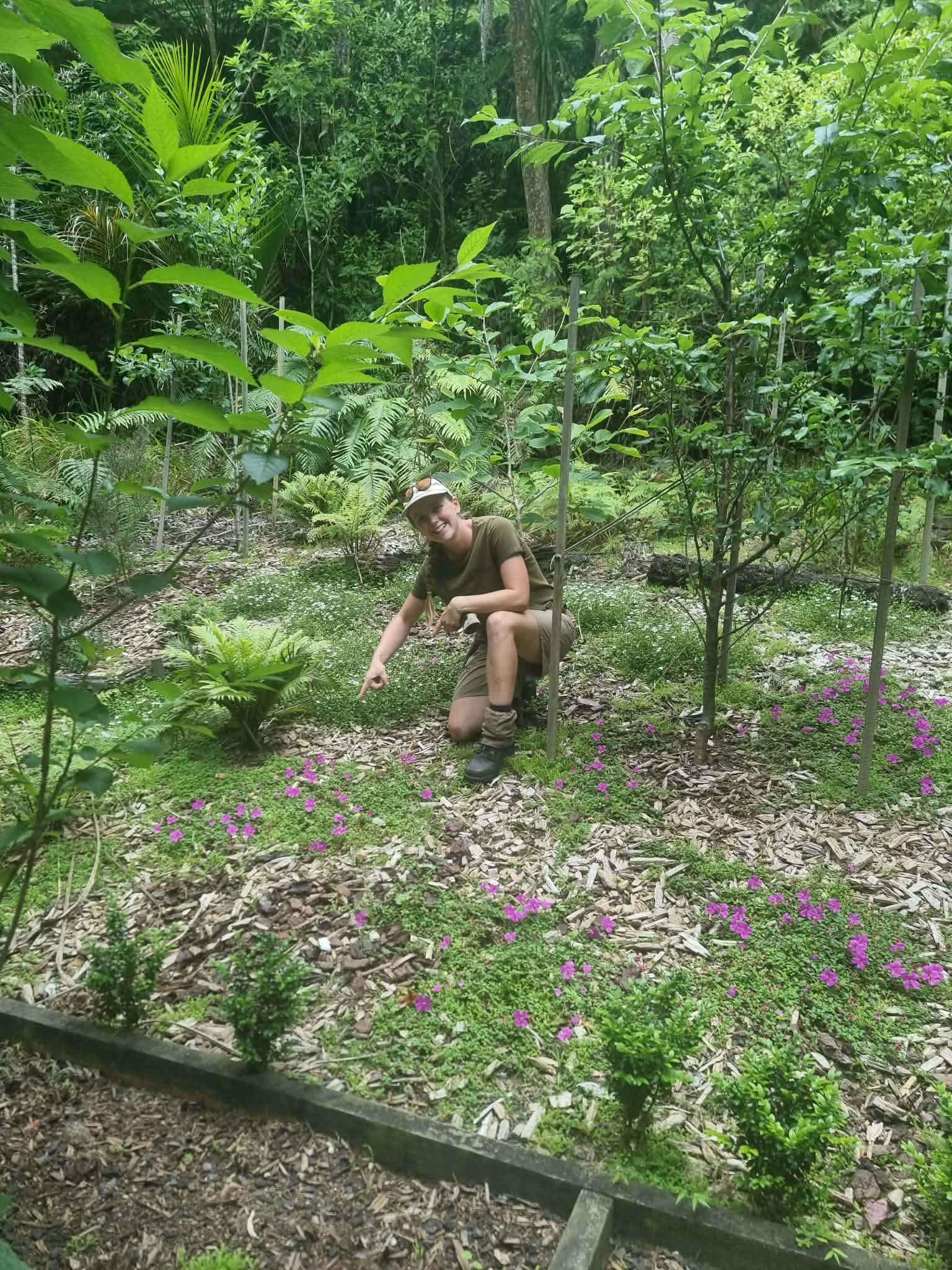 Garden design and native planting services in Auckland